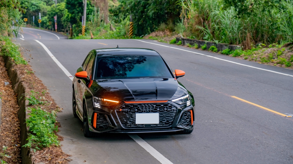 Audi RS3 8Y Sportback (2020-Present) ステンレス 1